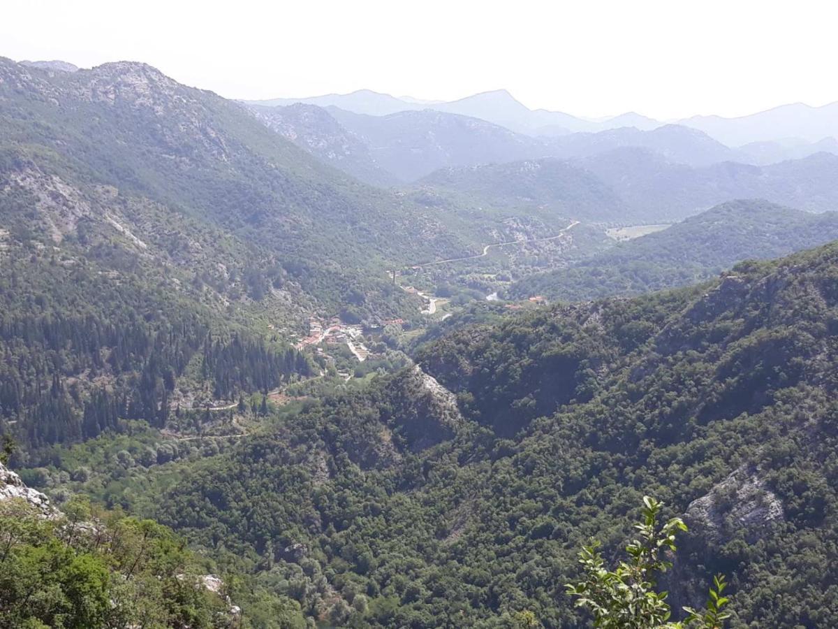 Aleksa Vendégház Cetinje Kültér fotó